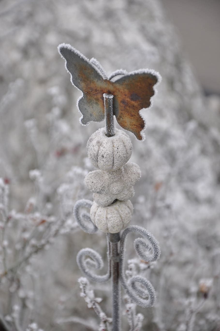 butterfly, winter, hoarfrost, frost, frozen, icy, close up, winter magic, eiskristalle, cold temperature