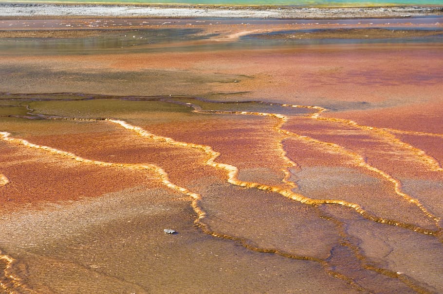 grand prismatic's bacterial mats, thermal, pool, spring, geothermal, nature, wyoming, yellowstone, national, park