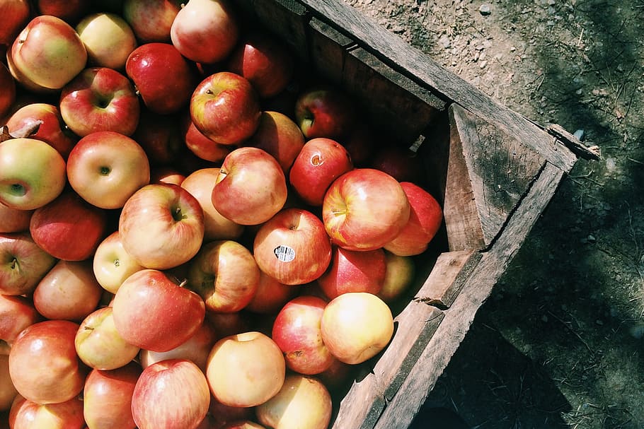 manzanas rojas, comida y bebida, manzana, manzanas, comida, fruta, rojo, alimentación saludable, frescura, bienestar