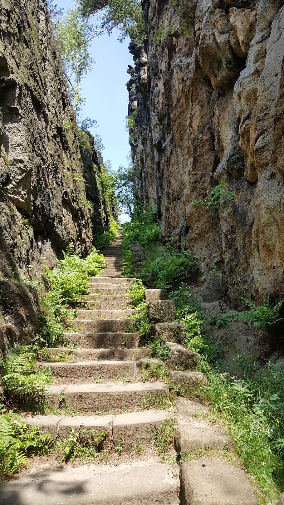 tangga, ascension, rock, nun rocks, lusatia atas, jalan ke depan, tidak ada orang, hari, menanam, arah