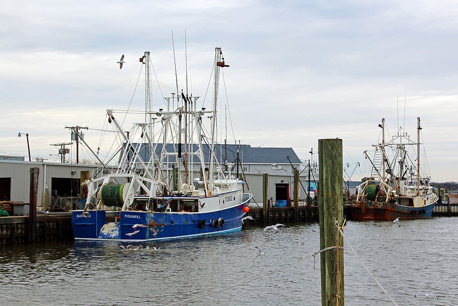 two, fishing boats, docked, one, point, pleasant, marinas, along, new, jersey shore
