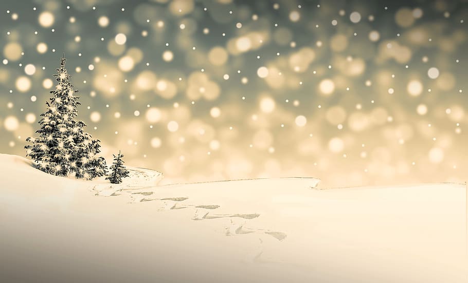navidad, nieve, invierno, tiempo de navidad, frío, motivo de navidad, copos de nieve, nevadas, saludo de navidad, diciembre