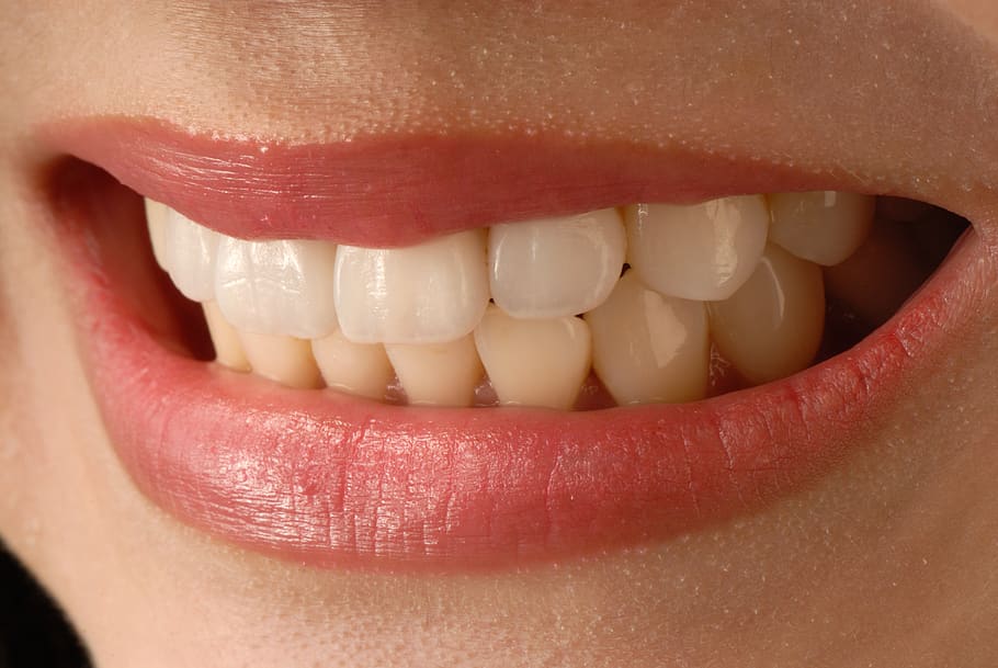 Royalty-free teeth photos free download | Pxfuel