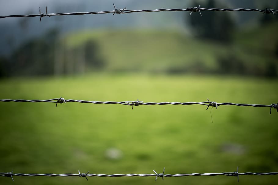 barbed wire, fence, nature, green, wire, blur, depth of field, lens 50mm, safety, protection