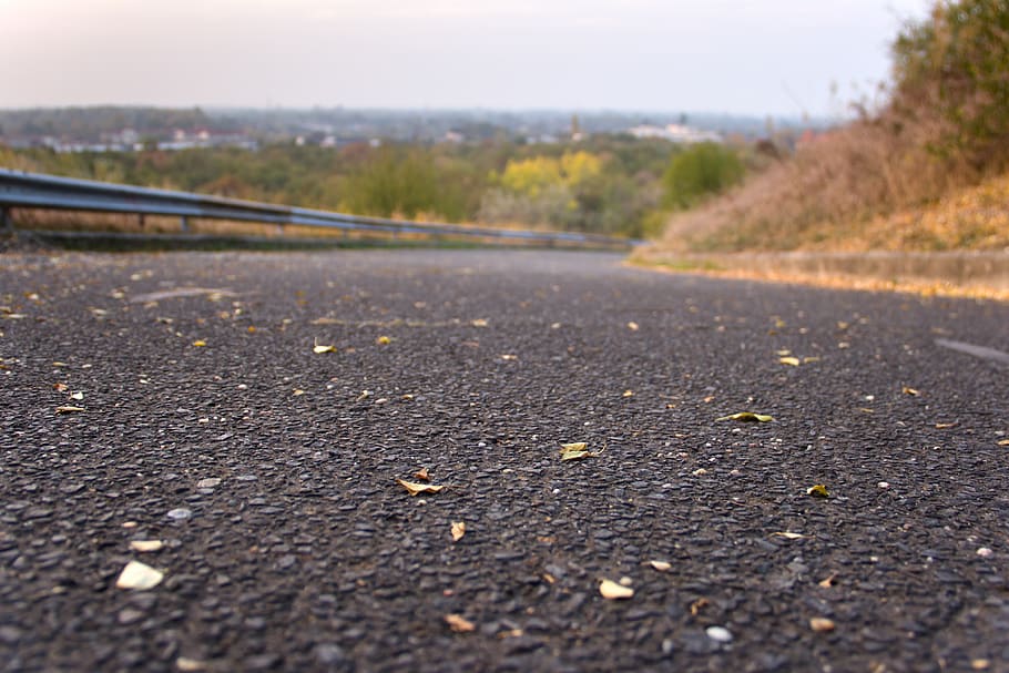 asphalt, gray, grainy, travel, empty, way, weather, leaf, autumn, nature