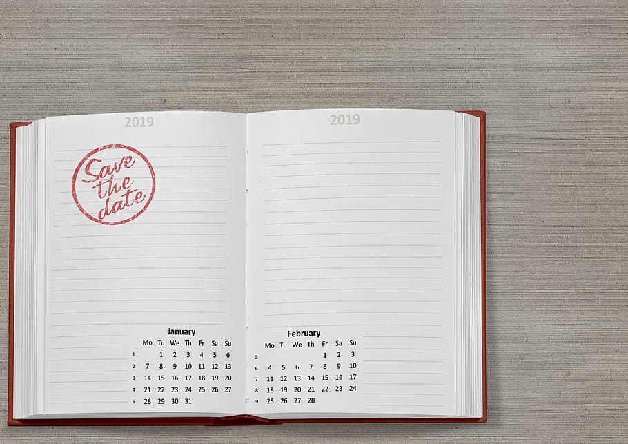 calendário, livro, 2019, data, janeiro, fevereiro, semana, mês, mesa, agenda