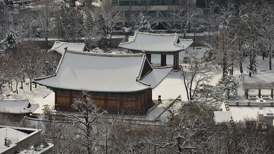 ciudad prohibida, nieve, tradicional, sitios históricos, invierno, vieja escuela, corea, seúl, arquitectura, república de corea