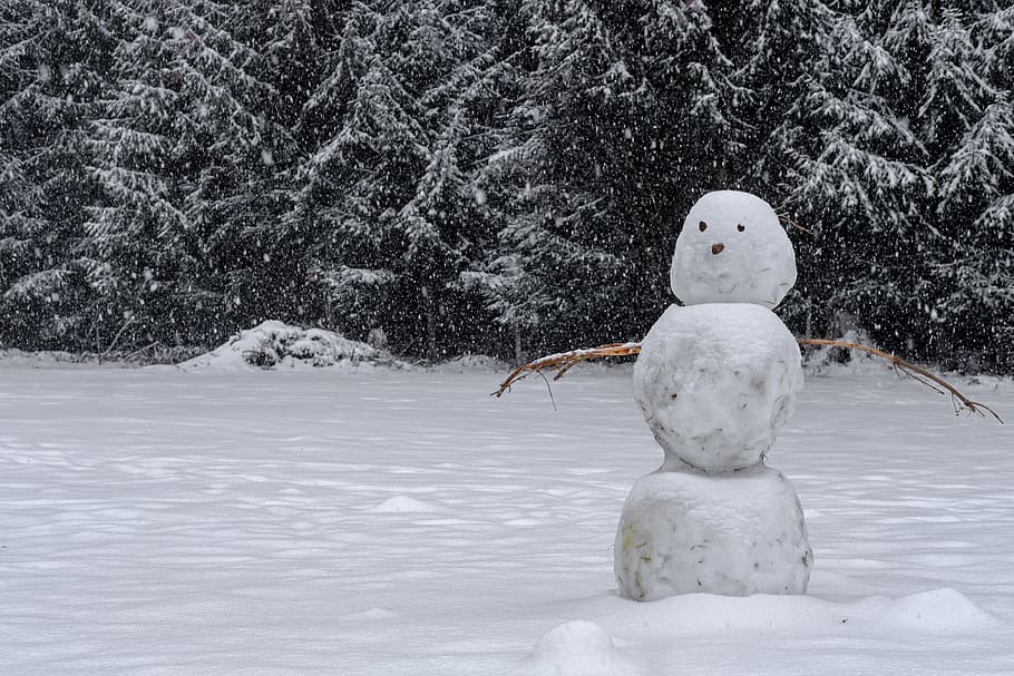 winter, snow, snowman, landscape, cold, snowfall, cold temperature, white color, nature, human representation