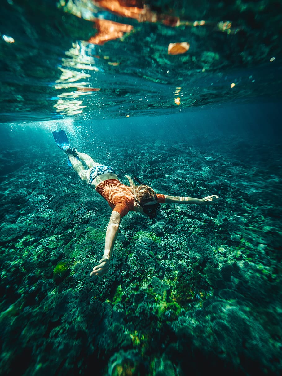 ocean, snorkeling, travel, snorkel, woman, flippers, sea, deep sea, fish, underwater