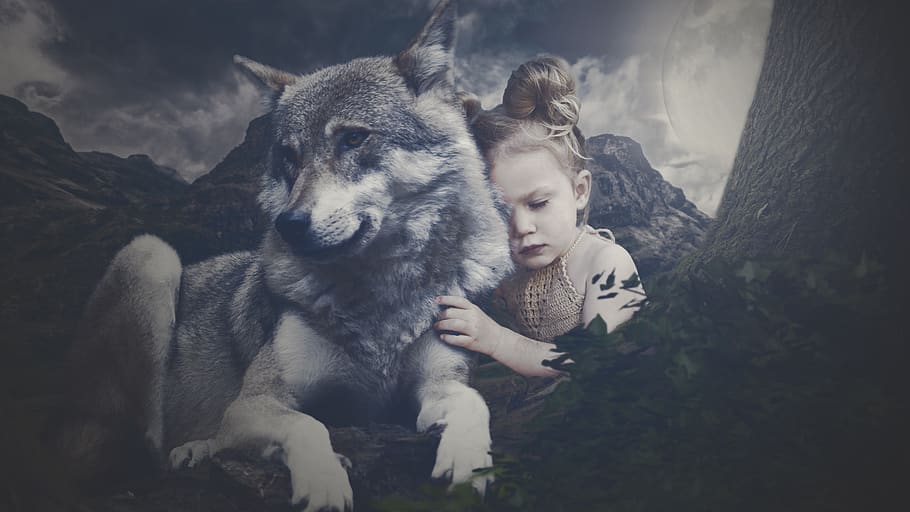 lobo, niña, niño, luna, noche, animal, paisaje, amor por los animales, naturaleza, edición de imágenes