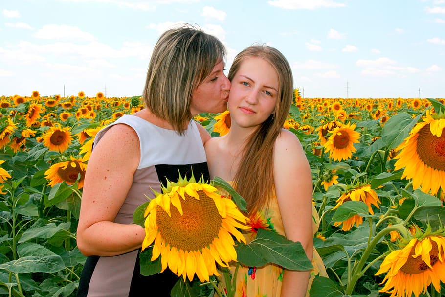 campo, sol, flor, girasol, humano, mujeres, actividad, planta floreciendo,  planta, dos personas | Pxfuel