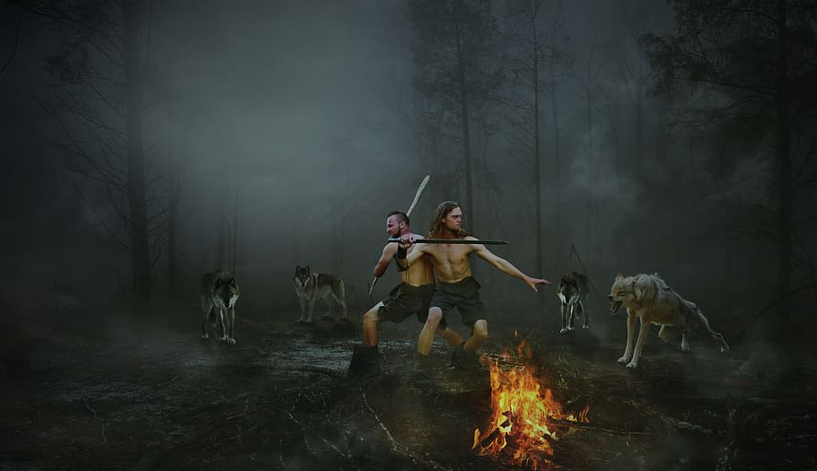 human, adult, man, smoke, wolf, courage, adventure, risk, fantasy, forest