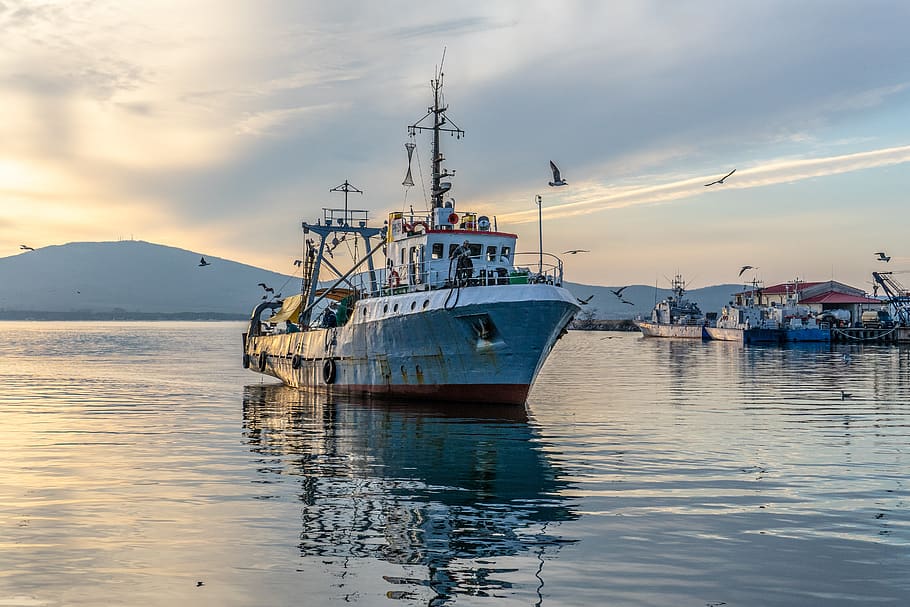 fishing vessel, fisherman, fishing, ship, vessel, ocean, sky, maritime, coast, blue