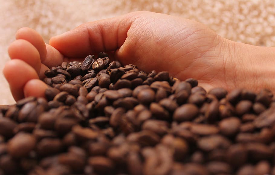 coffee, coffe, drink, caffeine, cafe, fresh, drinks, cappuccino, aroma, roasted coffee