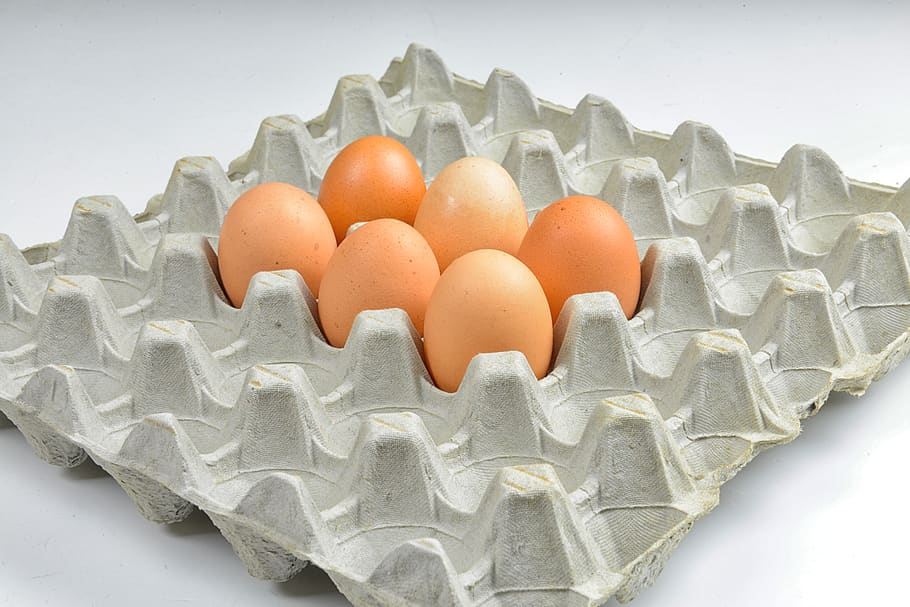 egg, hen's egg, easter, protein, egg packaging, eggshell, food, food and drink, studio shot, indoors