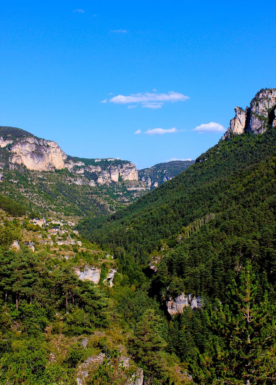 typical, landscape, gorges du tarn, -, one, largest, canyons, europe, southern, france