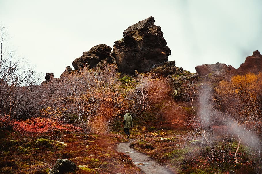hiker, walking, autumn forest, adventure, clouds, colorful, landscape, mountain, outdoors, park