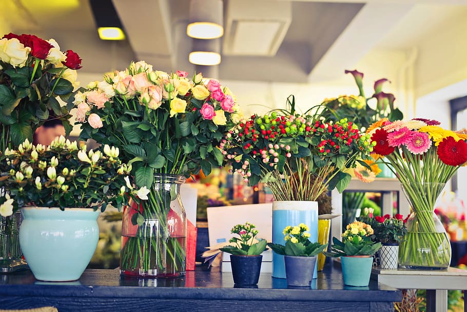flower shop display section, variety, flowers, plants, table, day time, blue, decor, decoration, display
