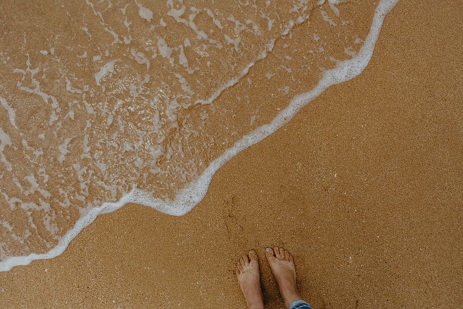 fondo de playa de arena, conchas de mar, y, guijarros, -, muchos, redondos, pequeños, piedras, playa