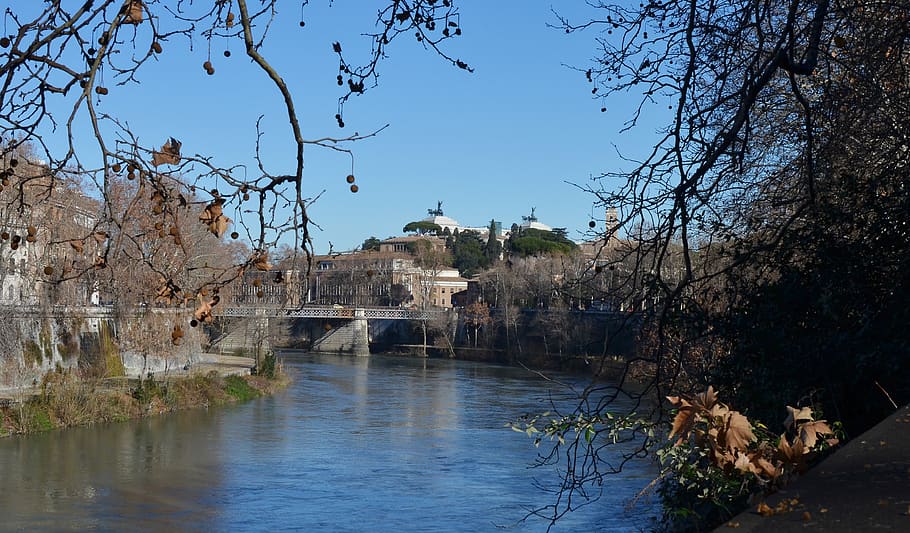 roma, río, tiber, puente, invierno, vista, otoño, frío, agua, arquitectura