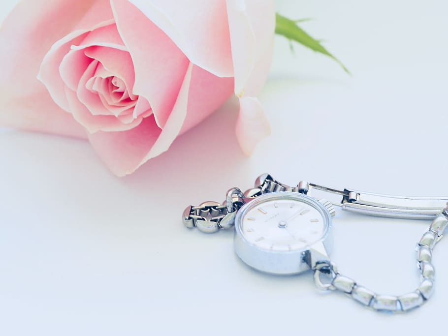 rosa, prata, relógio, jóias, romântico, fundo branco, papel de parede, mulher, flor, planta