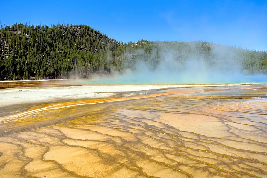 grand prismatic bacterial mat, thermal, spring, grand, prismatic, yellowstone, national, park, geothermal, pool