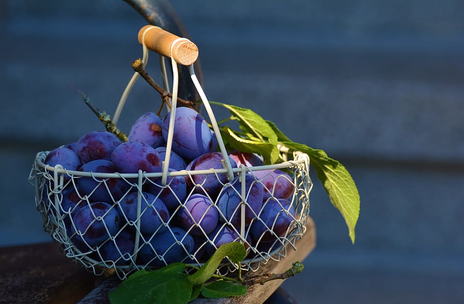 cesta de ameixa, cesta, azul, fresca, fruta, folhas, ameixa, ameixas, alimentação saudável, comida e bebida
