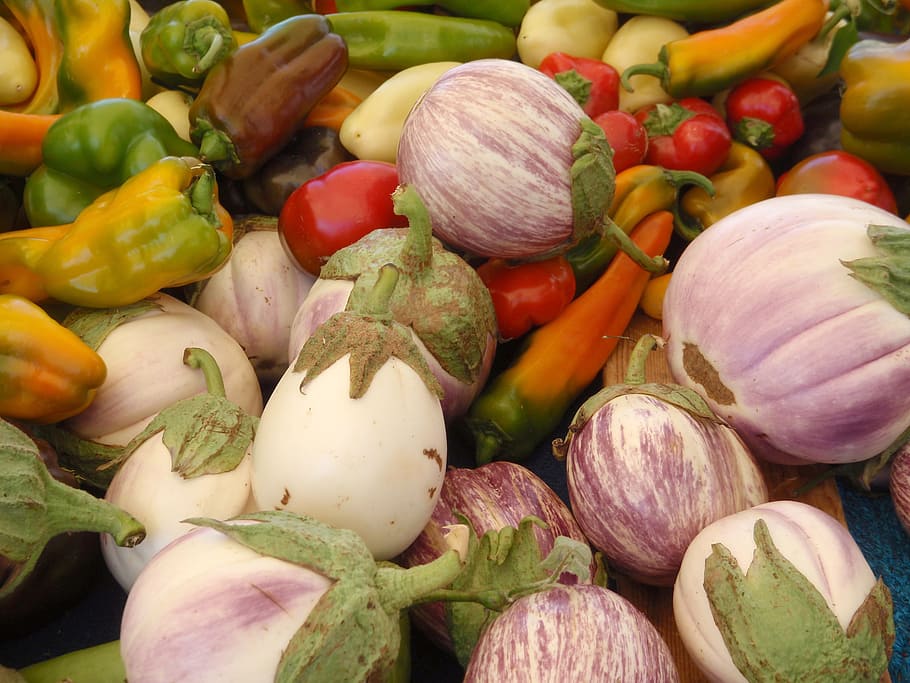warna-warni, terong, paprika, display, pasar petani, san francisco, california, pertanian, latar belakang, bel