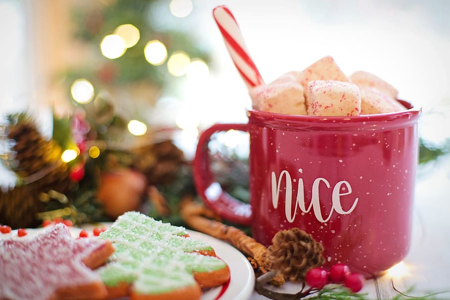 Navidad, chocolate caliente, cacao, agradable, bebida, caliente, taza, acogedor, vacaciones, bebidas