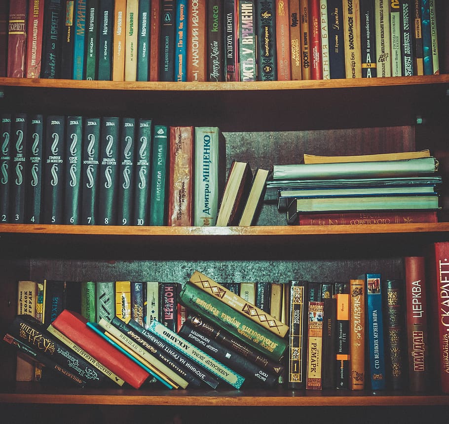 books, shelf, school, library, study, knowledge, publication, book, education, choice