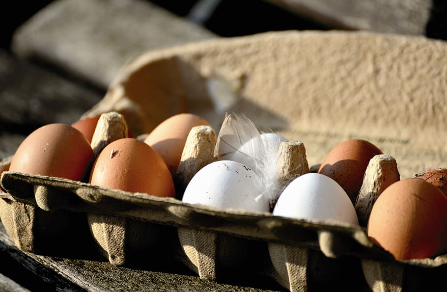 egg, hen's egg, bio, organic eggs, food, nutrition, eggshell, close up, healthy, natural product