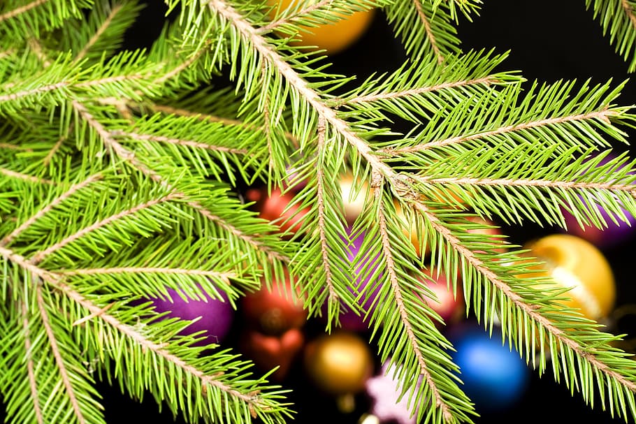 bola, bugiganga, preto, brilhante, celebração, natal, árvore de natal, cor, decoração, presente