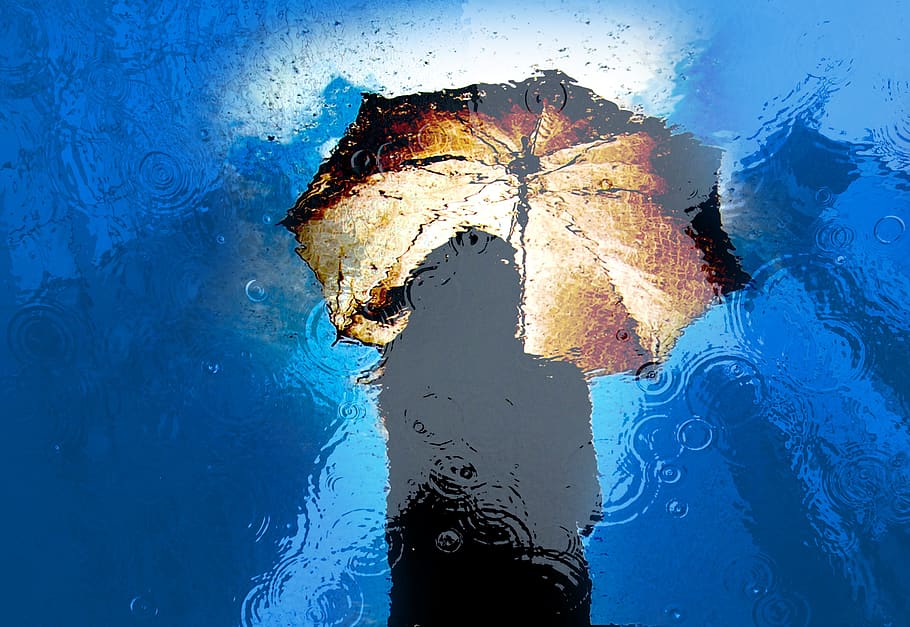 mulher, menina, chuva, agua, guarda-chuva, molhado, cidade, personagem, figura, a silhueta