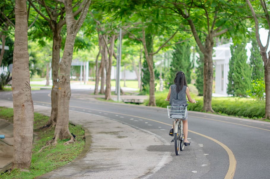 Carretera, verde, árbol, mujer, bicicleta, calle, transporte, viaje, paisaje, cielo