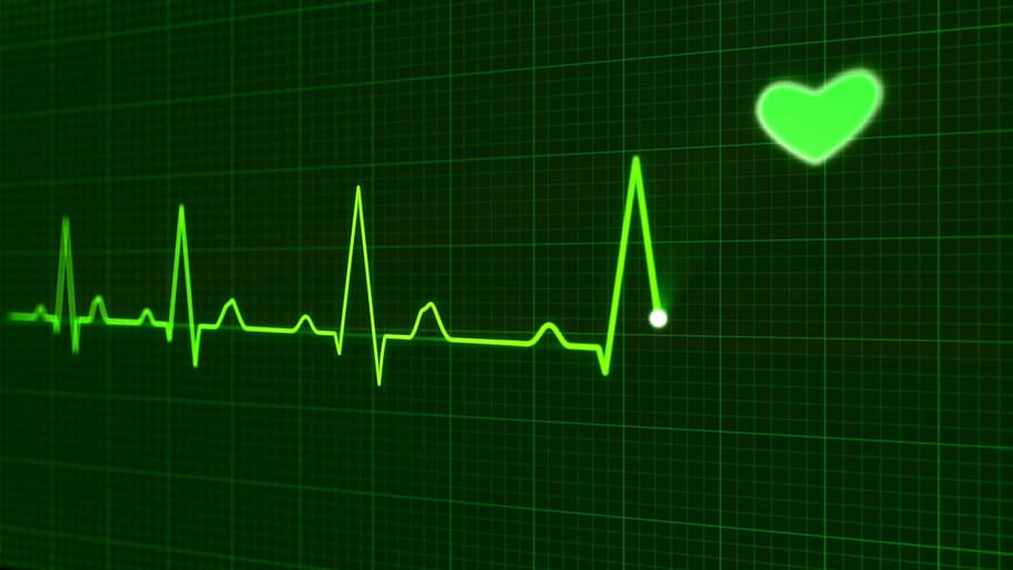 beat, heart, heartbeat, graph, graphical, medical, green color, diagram, healthcare and medicine, finance
