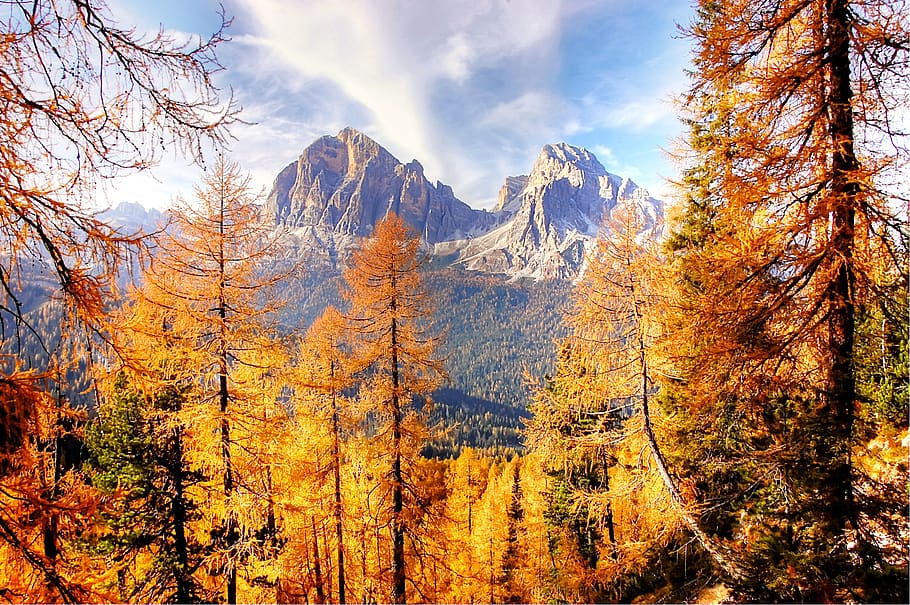 autumn light, dolomites, mountains, larch, autumn, rock, mood, nature, landscape, emerge