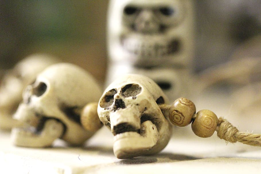 skull, skeleton, altar, ritual, bones, dead, death, bone, halloween, santamuerte