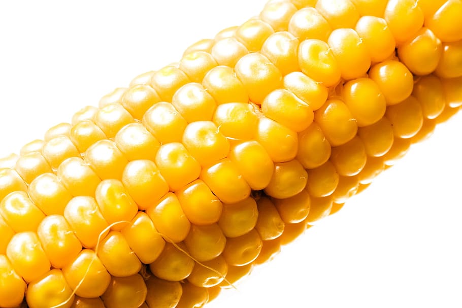 corn, closeup, isolated, grain, vegetarian, produce, ripe, natural, vibrant, delicious