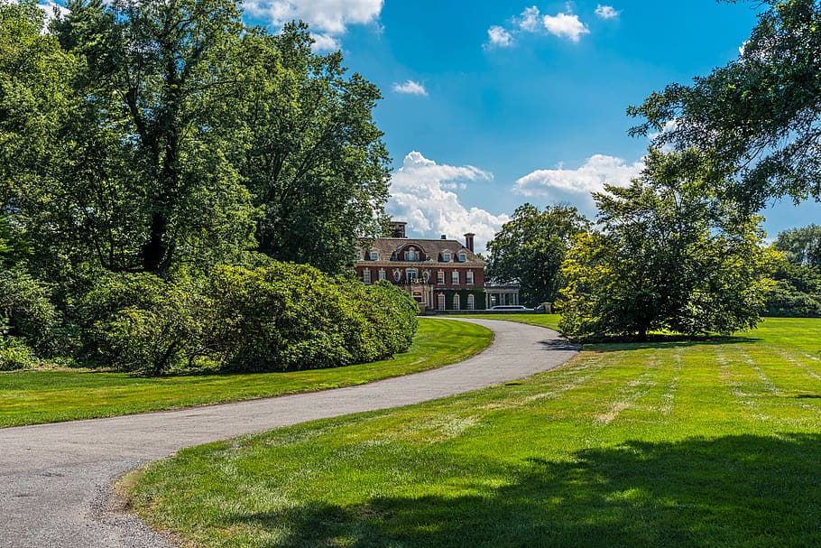mansion, long driveway, estate, trees, blue sky, summer, tree, plant, green color, grass