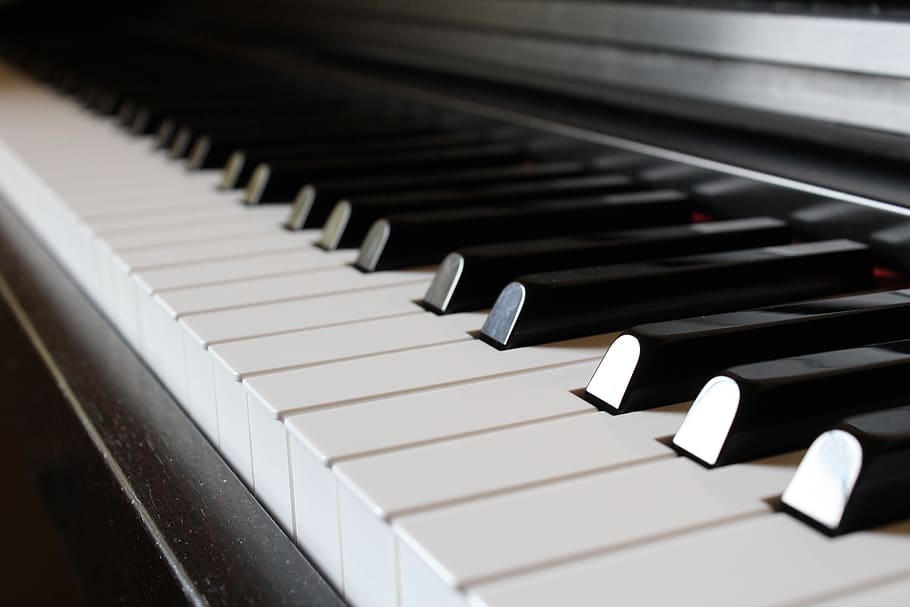 piano, marfim, ébano, sintetizador, som, harmonia, acorde, instrumento, teclado, música