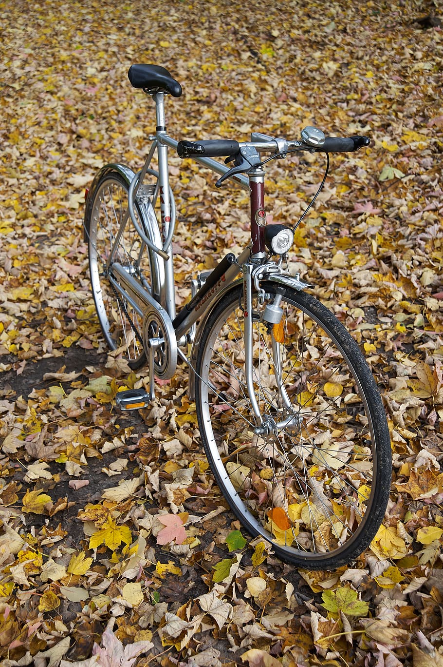 bicicleta, kalkhoff, ciclos de senhores, folhas de outono, outono, transporte, veículo terrestre, folha, parte da planta, modo de transporte