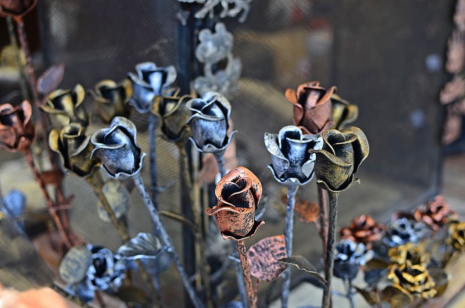 rosas, metal, carpintería metálica, herrería, artística, flores, acero,  hierro, el arte de, centrarse en primer plano | Pxfuel