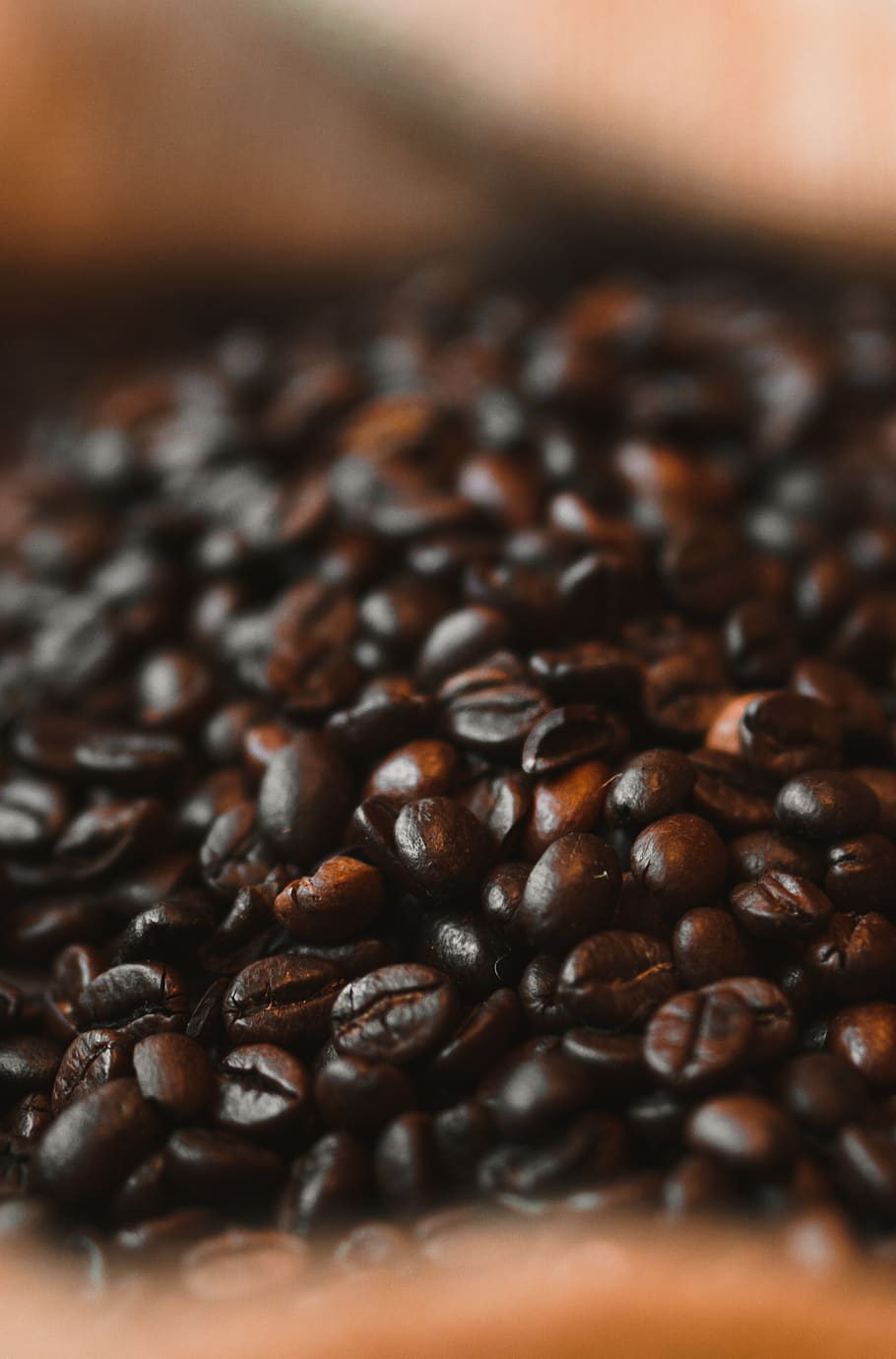 coffee, coffee grain, aroma, caffeine, roast, beans, cafe, brown, food, drinks