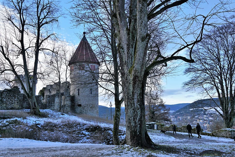 Árbol, invierno, otoño, nieve, temporada, castillo, Tuttlingen, Alemania, bosque, colina