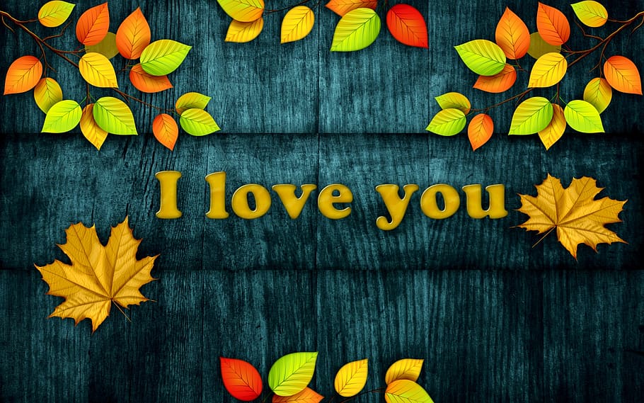 pattern, i love you, background, color, blue, romantic, love, text, western script, yellow