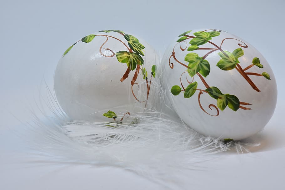 easter, egg, easter eggs, painted, feather, fragility, holiday, white, close up, still life