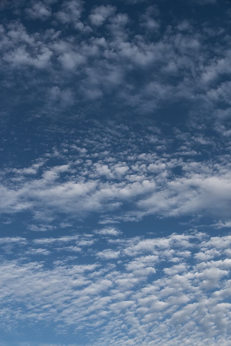 clouds, white, blue, fluffy, cirrocumulus, delicate, weather, pattern, layers, sky