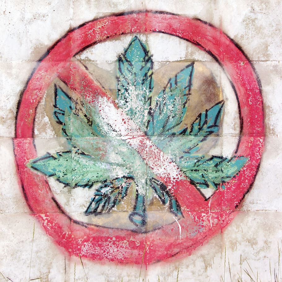 marihuana, verde, médica, maceta, drogas, signo, hoja, narcótico, peligro, droga