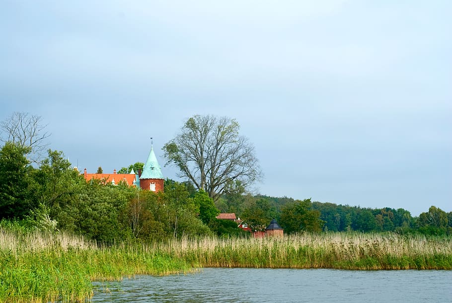 castle, roof, nature, reed, water, lake, tree, tower, plant, sky