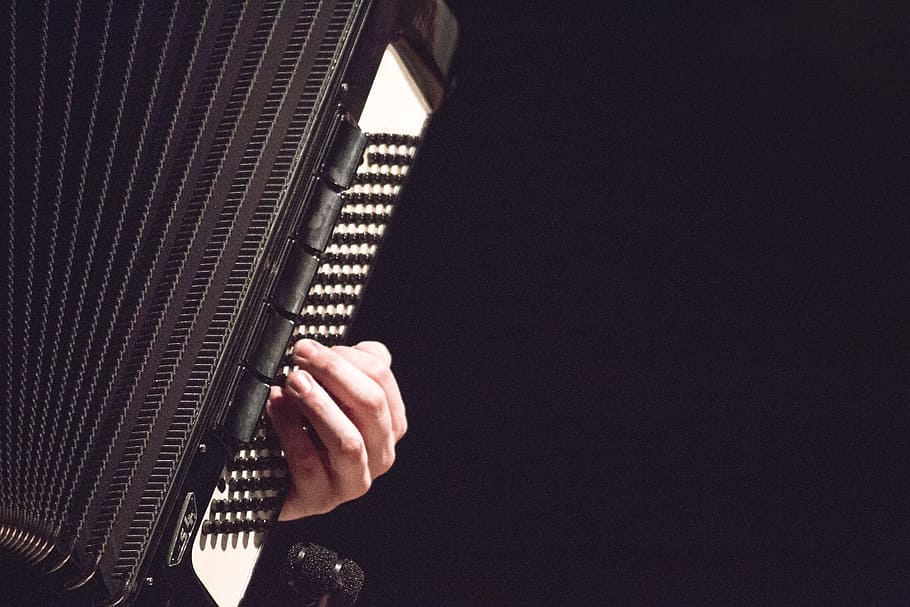 man, musician, accordian, playing, music, classical, hand, male, human body part, technology